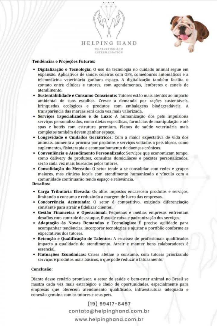 Miniatura 11
