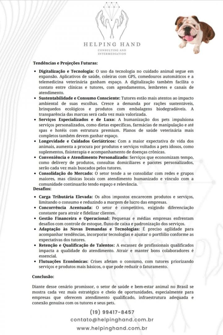 Miniatura 11
