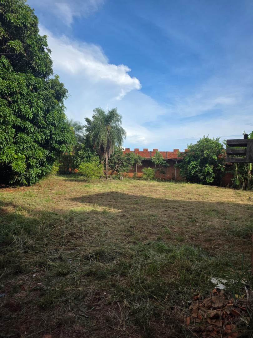 Excelente oportunidade - 3 terrenos - 1.182 m² - bairro Vila Nasser REF: 60