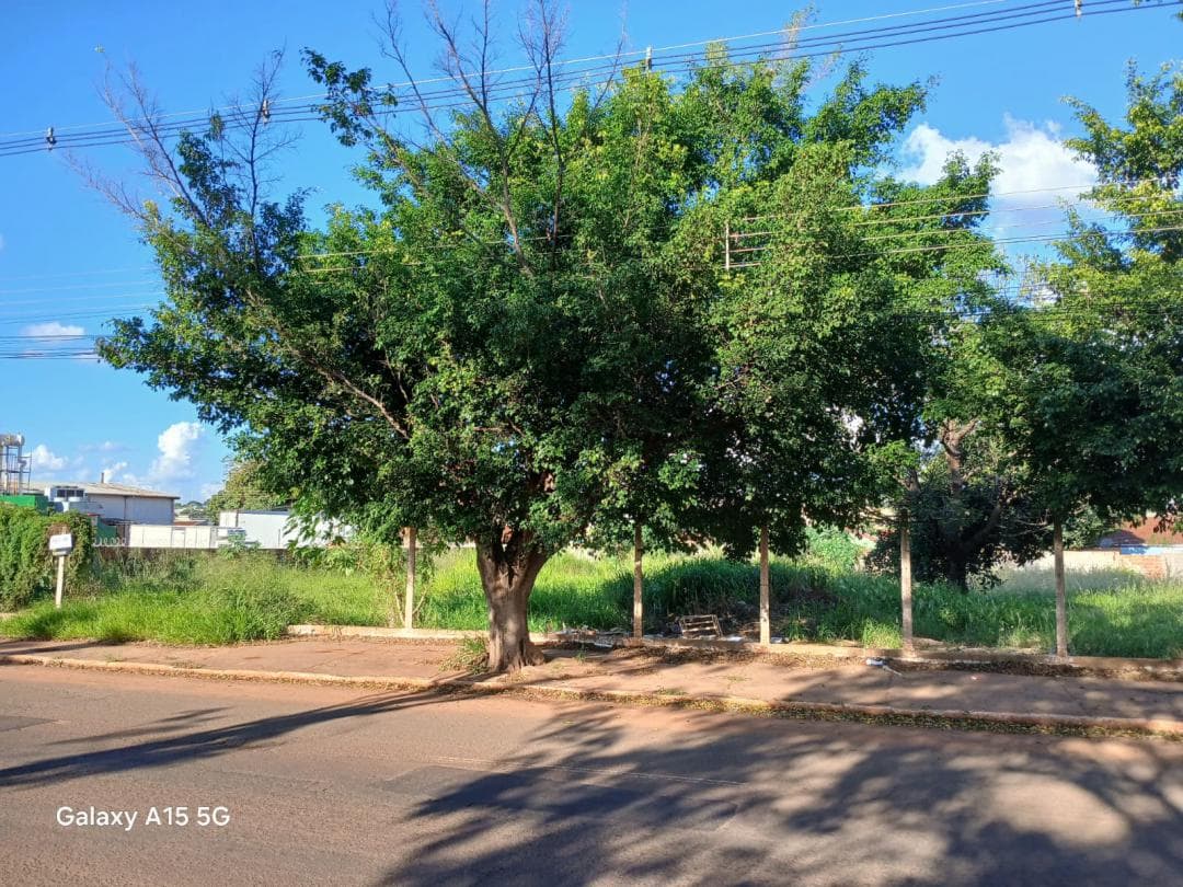Vende-se 2 terrenos paralelos na Avenida Gunter Hans, com várias possibilidades de ramo comercial. REF: 38